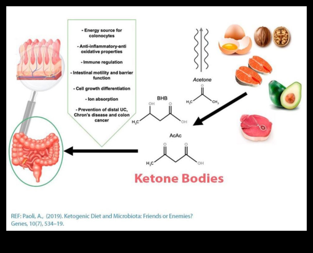 Keto ve Bağırsak Mikrobiyomu: Dinamik Bir Etkileşim